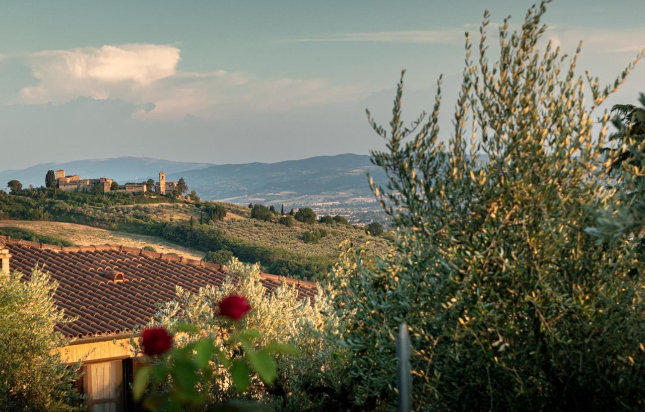 Agriturismo La Rocca Assisi Petrignano Exterior foto