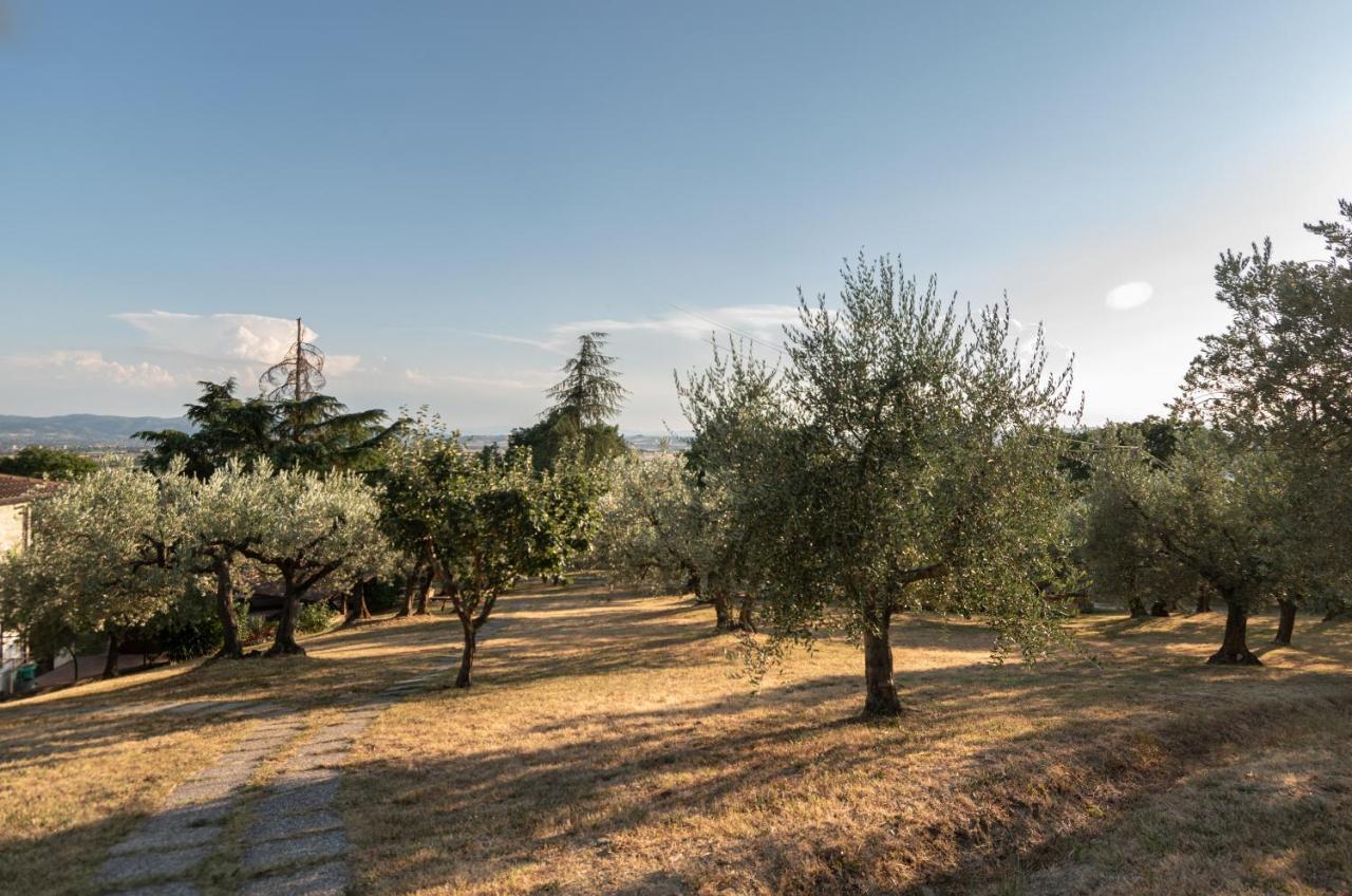 Agriturismo La Rocca Assisi Petrignano Exterior foto