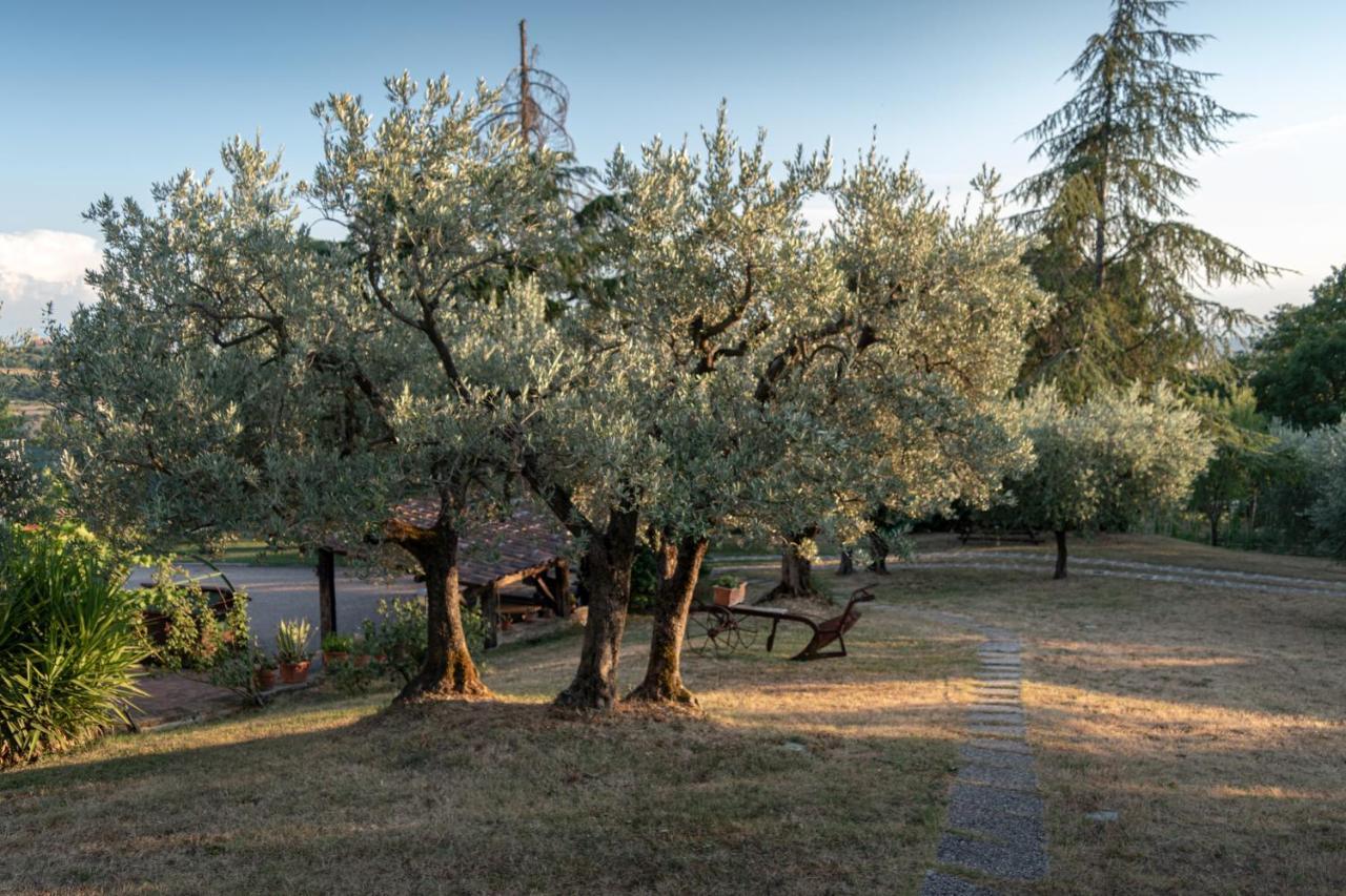 Agriturismo La Rocca Assisi Petrignano Exterior foto